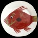 John dory fish salad plate D 23 cm