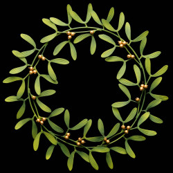 Mistletoe wreath