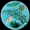 Turquoise Asparagus plate with a fern