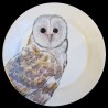 Majolica owl dinner plate