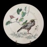 Grey bird on one foot & Rosebush plate D
