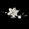 Tige de magnolia enneigée